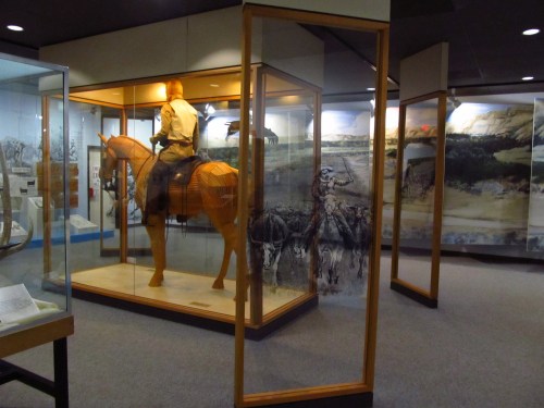 A museum exhibit featuring a mounted figure on a horse, surrounded by glass displays and scenic murals.
