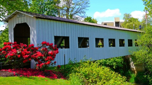 A white covered bridge surrounded by vibrant flowers and greenery under a clear blue sky.