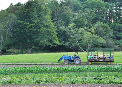 A blue tractor pulls a trailer with people seated, surrounded by lush green fields and trees in the background.