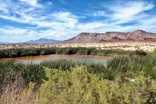 A serene landscape featuring a pond surrounded by tall grasses and mountains under a blue sky with wispy clouds.
