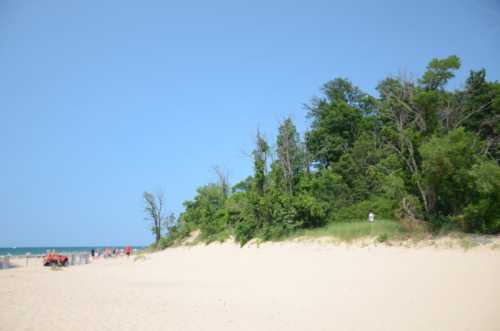 A sandy beach with a green hillside and trees, under a clear blue sky, with people in the distance near the water.