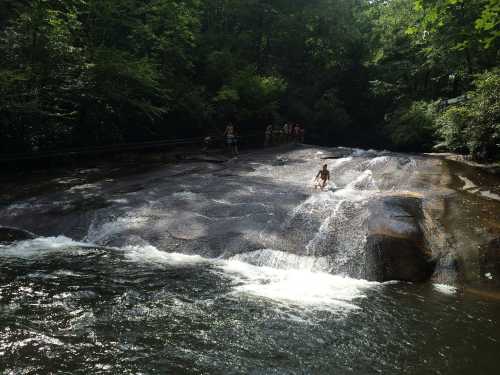 A rocky riverbed with a small waterfall, surrounded by lush greenery and people enjoying the water.