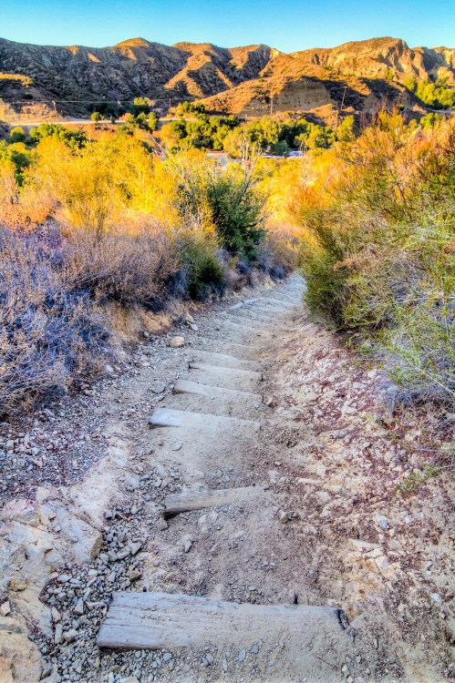 A winding dirt path with wooden steps leads through a colorful landscape of shrubs and mountains in the background.