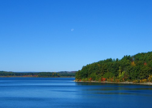 A serene lake surrounded by trees, with a clear blue sky and a faint moon visible in the distance.