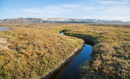 A serene landscape featuring a winding stream through golden marshland under a clear blue sky.