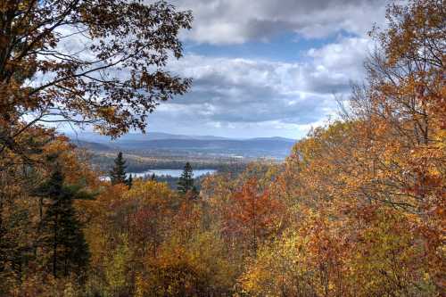 A scenic view of autumn foliage with vibrant orange and yellow leaves, overlooking a lake and distant mountains under a cloudy sky.