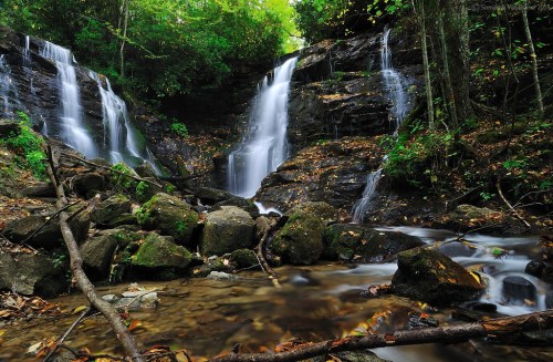 A serene waterfall cascades over rocks, surrounded by lush greenery and fallen branches in a tranquil forest setting.