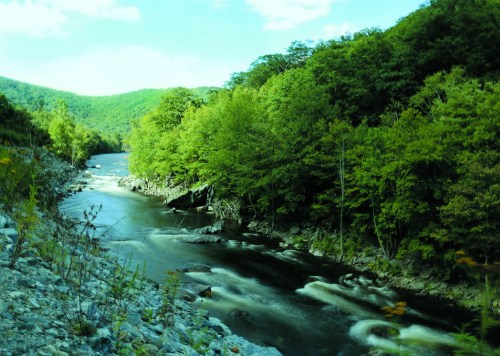 A serene river flows through lush green hills under a bright blue sky, surrounded by trees and rocky banks.