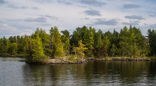 A serene lake scene with lush green trees and a rocky shoreline under a cloudy sky.