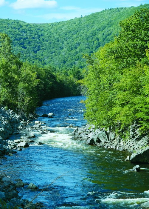 A serene river flows through lush green hills, surrounded by trees and rocky banks under a clear blue sky.