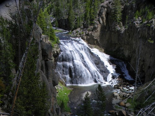 A serene waterfall cascades down rocky cliffs, surrounded by lush greenery and tall trees in a natural landscape.
