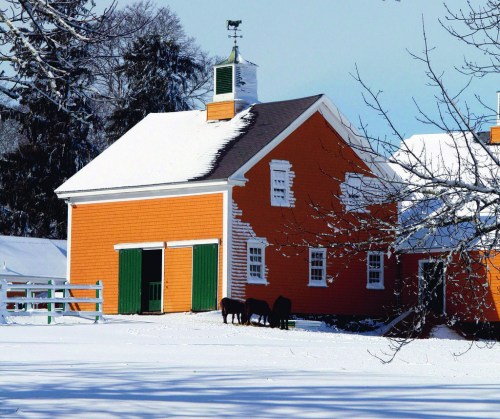 A bright orange barn with green doors surrounded by snow-covered ground and trees on a clear winter day.