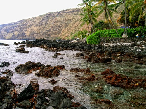 Rocky shoreline with clear water, palm trees, and a hillside in the background. Overcast sky.
