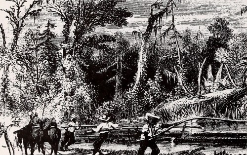 A historical illustration of men with rifles walking through a dense, wooded landscape near a body of water.