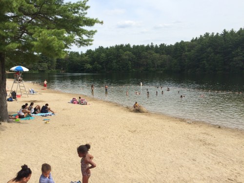 A sandy beach by a lake with people swimming, sunbathing, and enjoying the outdoors surrounded by trees.