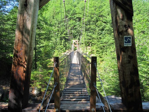 A wooden suspension bridge stretches over a forested area, surrounded by lush green trees.