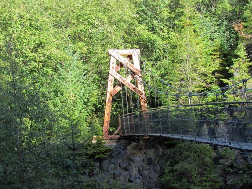 A weathered suspension bridge surrounded by lush green trees and rocky terrain.
