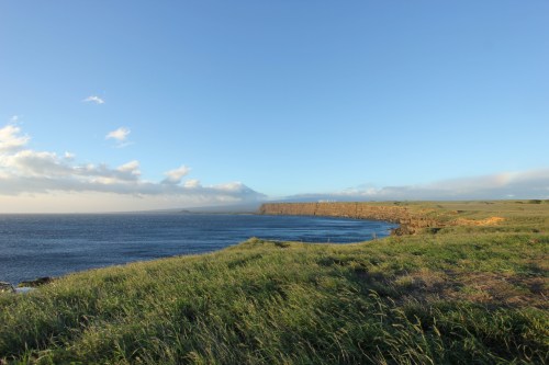 A scenic coastal view with cliffs, green grass, and a clear blue sky over the ocean.
