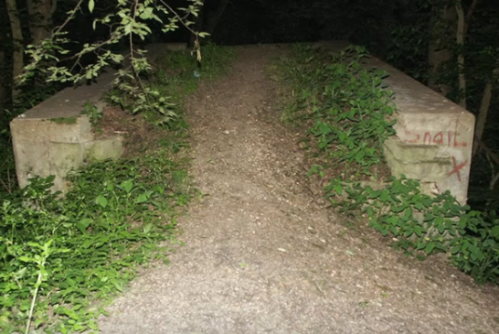 A narrow, overgrown path leads to a concrete structure in a dark, wooded area.