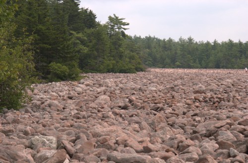 A rocky landscape with a dense forest of green trees in the background under a cloudy sky.