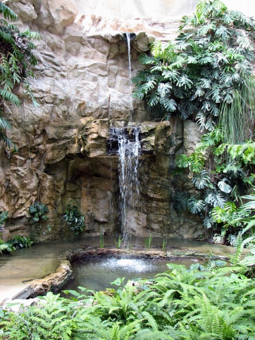 A serene waterfall cascades over rocks into a small pond, surrounded by lush green plants and ferns.
