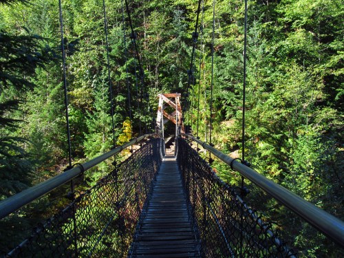 A wooden suspension bridge stretches over a lush, green forest, surrounded by trees and natural scenery.