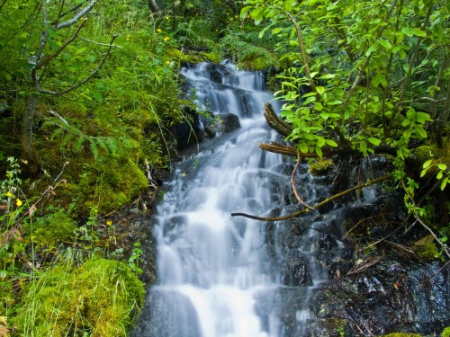 A serene waterfall cascading over rocks, surrounded by lush green foliage and moss.