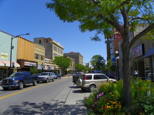 A sunny street scene with shops, parked cars, and blooming flowers along the sidewalk. Trees provide shade.