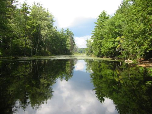A serene lake surrounded by lush green trees, reflecting the sky and clouds above.