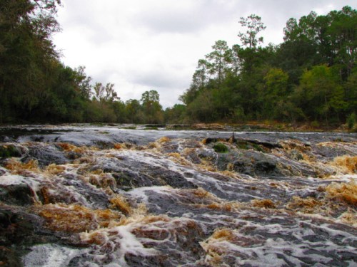 A rushing river with brown water flows over rocky terrain, surrounded by lush green trees under a cloudy sky.