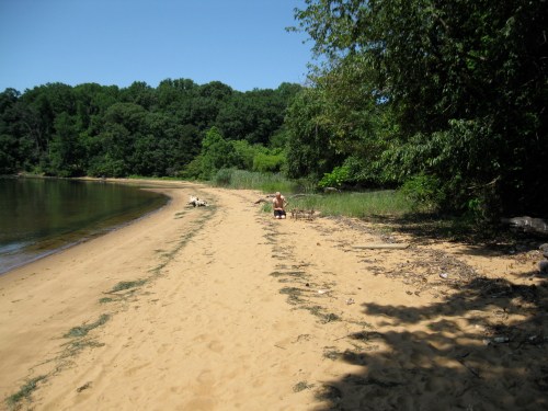 A sandy beach with a calm water edge, surrounded by green trees and shrubs, with a person walking along the shore.