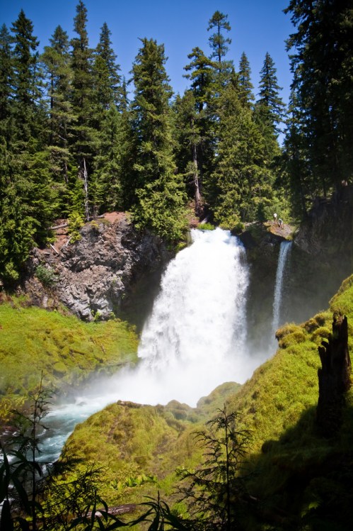 A majestic waterfall cascades down rocky cliffs, surrounded by lush green trees and vibrant vegetation.