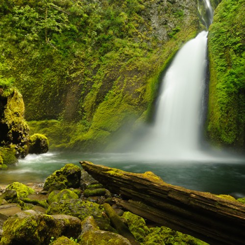 A serene waterfall cascades into a lush, green forest, surrounded by moss-covered rocks and a tranquil river.