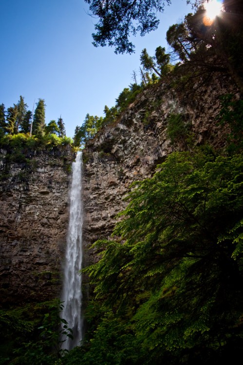 A tall waterfall cascades down a rocky cliff, surrounded by lush green trees under a clear blue sky.