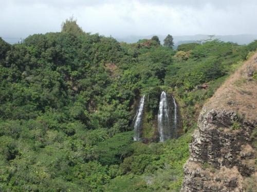A lush green landscape featuring a waterfall cascading down rocky cliffs, surrounded by dense vegetation.