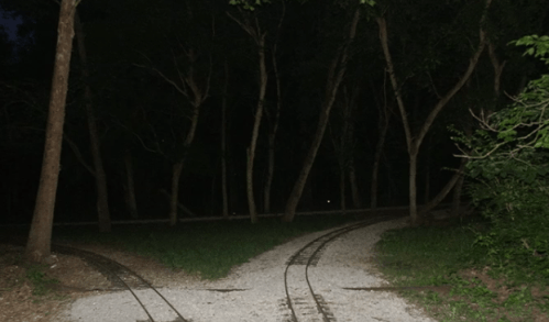 A dark forest path splits into two, with faint train tracks visible on the ground surrounded by trees.