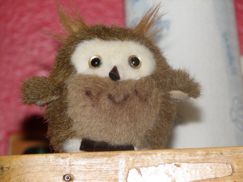 A cute, fluffy owl plush toy with big eyes and a small beak, sitting on a wooden surface against a pink background.
