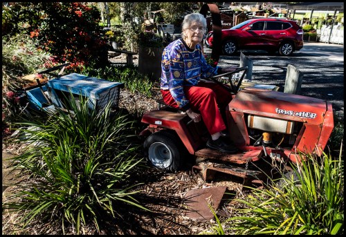 An elderly woman sits on a red tractor surrounded by greenery and colorful flowers in a garden setting.