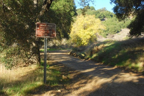 A dirt road sign for Crags Road, surrounded by trees and greenery in a sunny landscape.