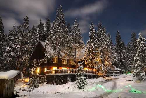 A cozy cabin surrounded by snow-covered trees, illuminated warmly under a starry night sky.