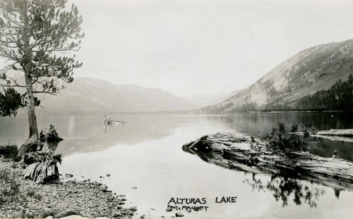 alt