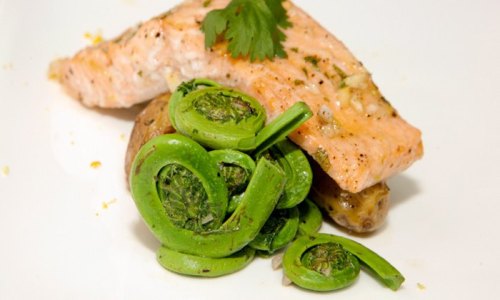 Grilled salmon fillet with garlic, served with sautéed fiddlehead ferns and roasted potatoes, garnished with cilantro.