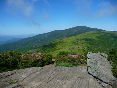 A scenic view of rolling green hills and blooming flowers under a clear blue sky, with rocky foreground.