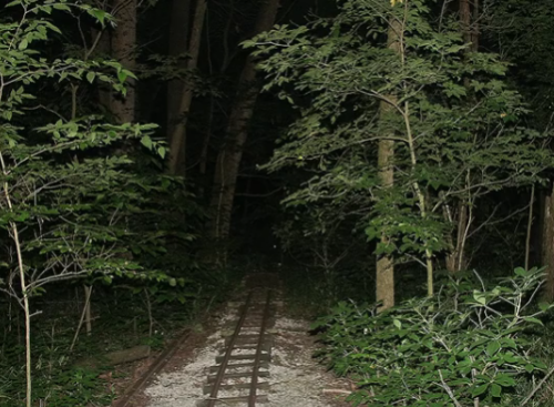 A dark forest path with overgrown trees and a faintly visible railway track running through it.