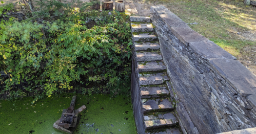 Stone steps lead down to a mossy area with green water and overgrown vegetation.
