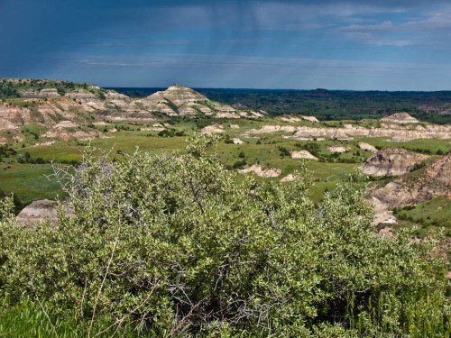 A scenic view of rolling hills and green valleys under a cloudy sky, with shrubs in the foreground.