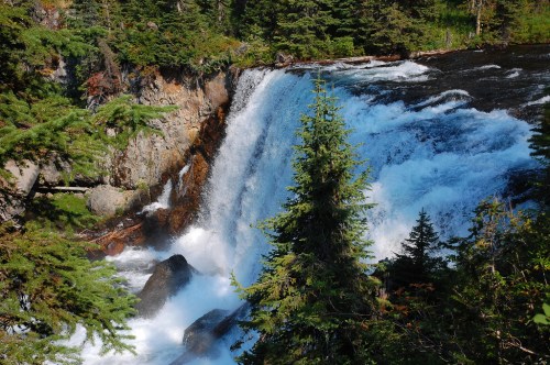 A cascading waterfall surrounded by lush green trees and rocky terrain, creating a serene natural landscape.