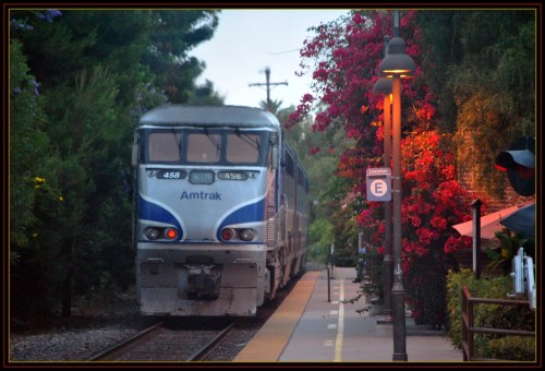 An Amtrak train arrives at a station surrounded by vibrant flowers and trees during twilight.