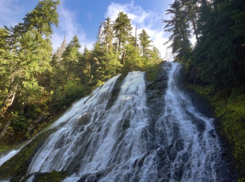 A cascading waterfall surrounded by lush green trees and a blue sky, creating a serene natural scene.