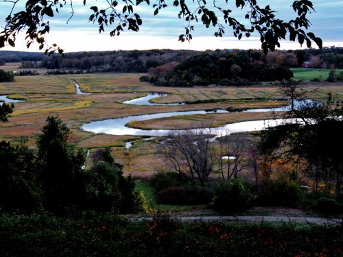 A serene landscape featuring winding rivers and lush fields under a cloudy sky, surrounded by trees and hills.